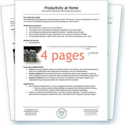 Thumb_C19 Productivity at Home