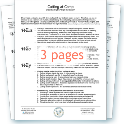 Thumb_Cutting Camper